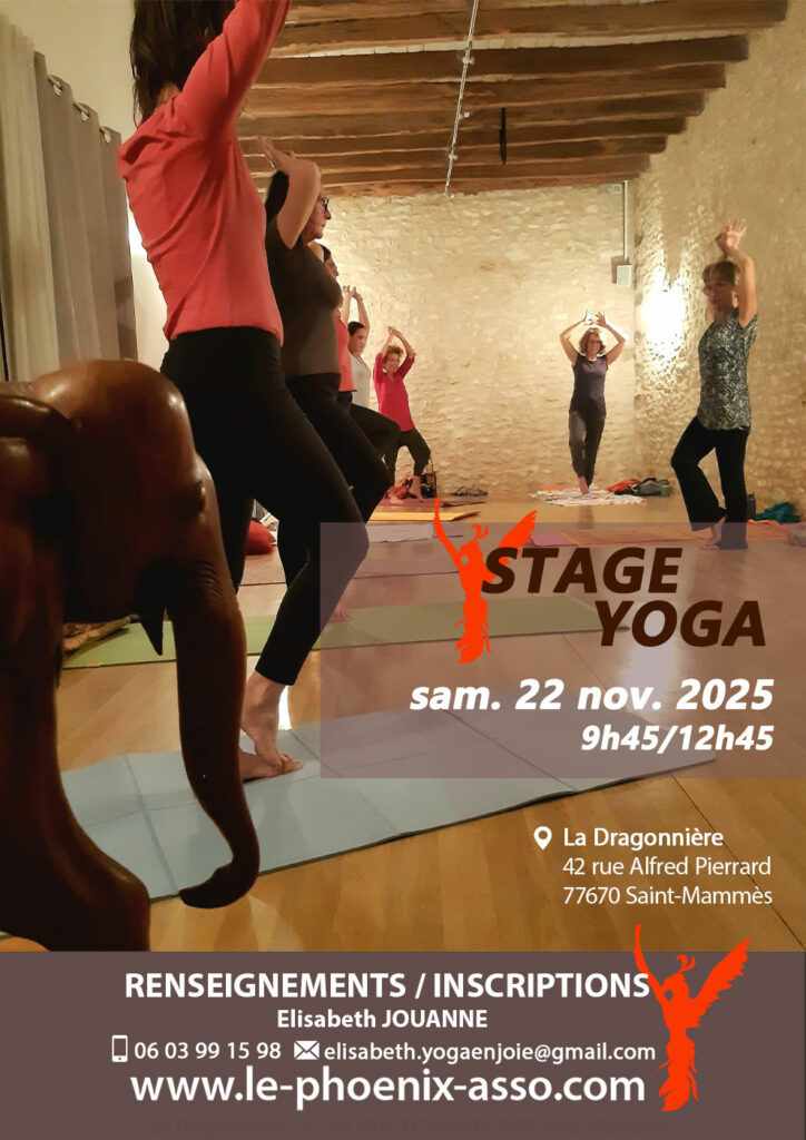 Stage de Yoga avec Elisabeth JOUANNE
