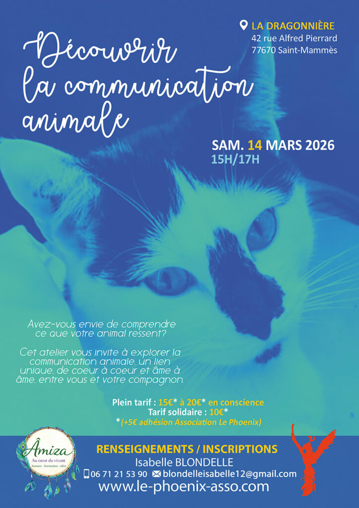 Découvrir la communication animale avec Isabelle BLONDELLE