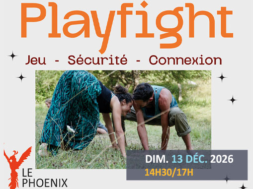 Playfight